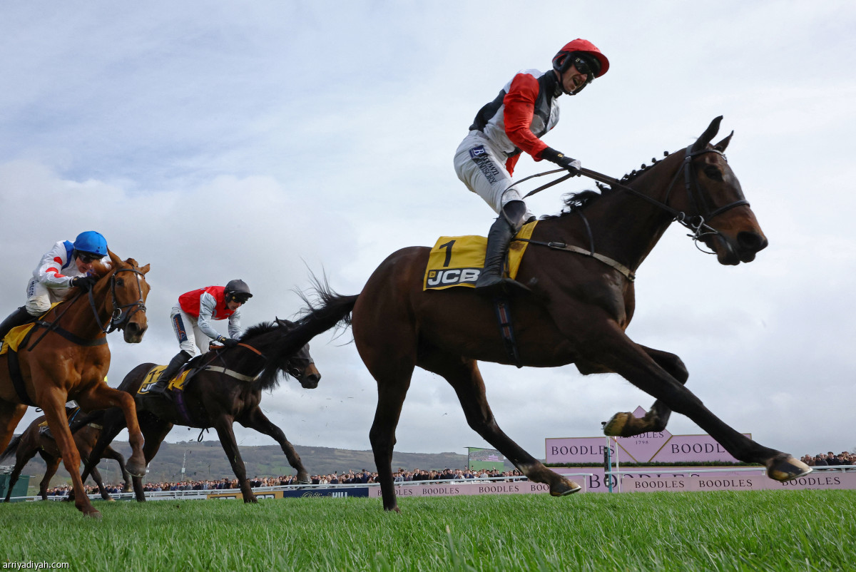 سباق شلتنهام