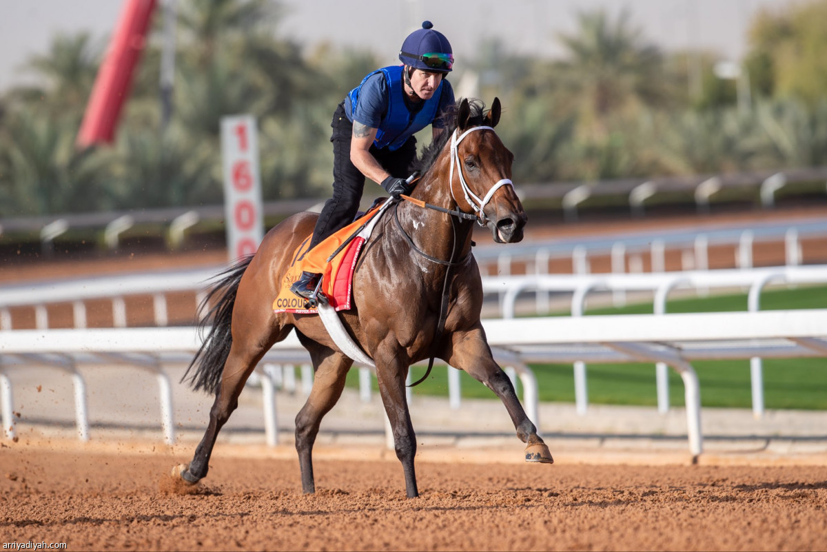 تدريبات مستمرة