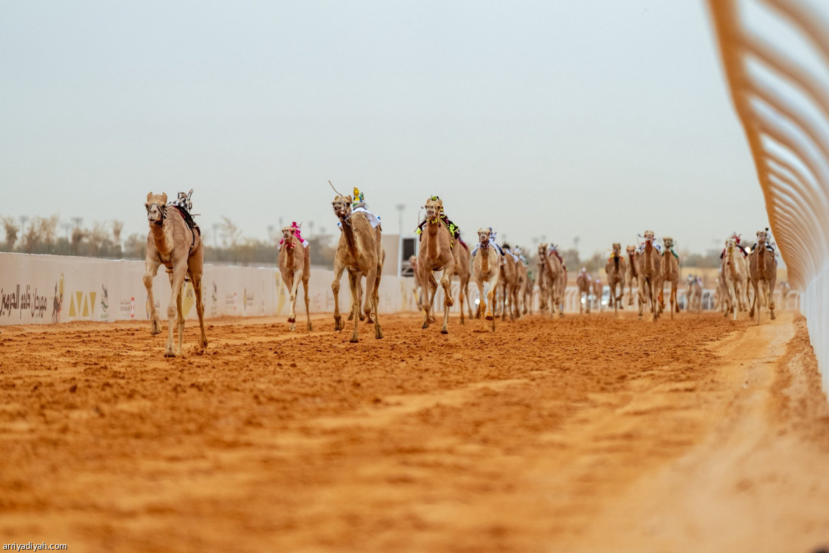 ترقب وانتصار