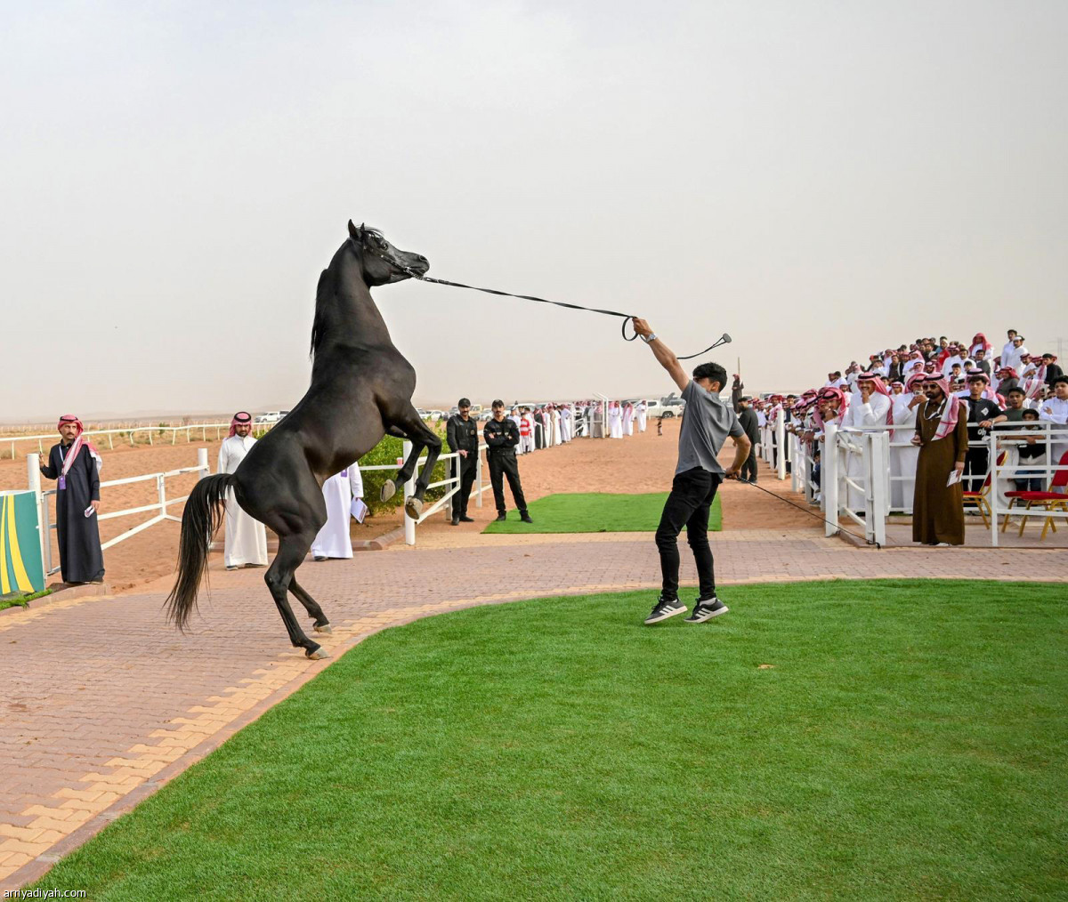 فعاليات متنوعة