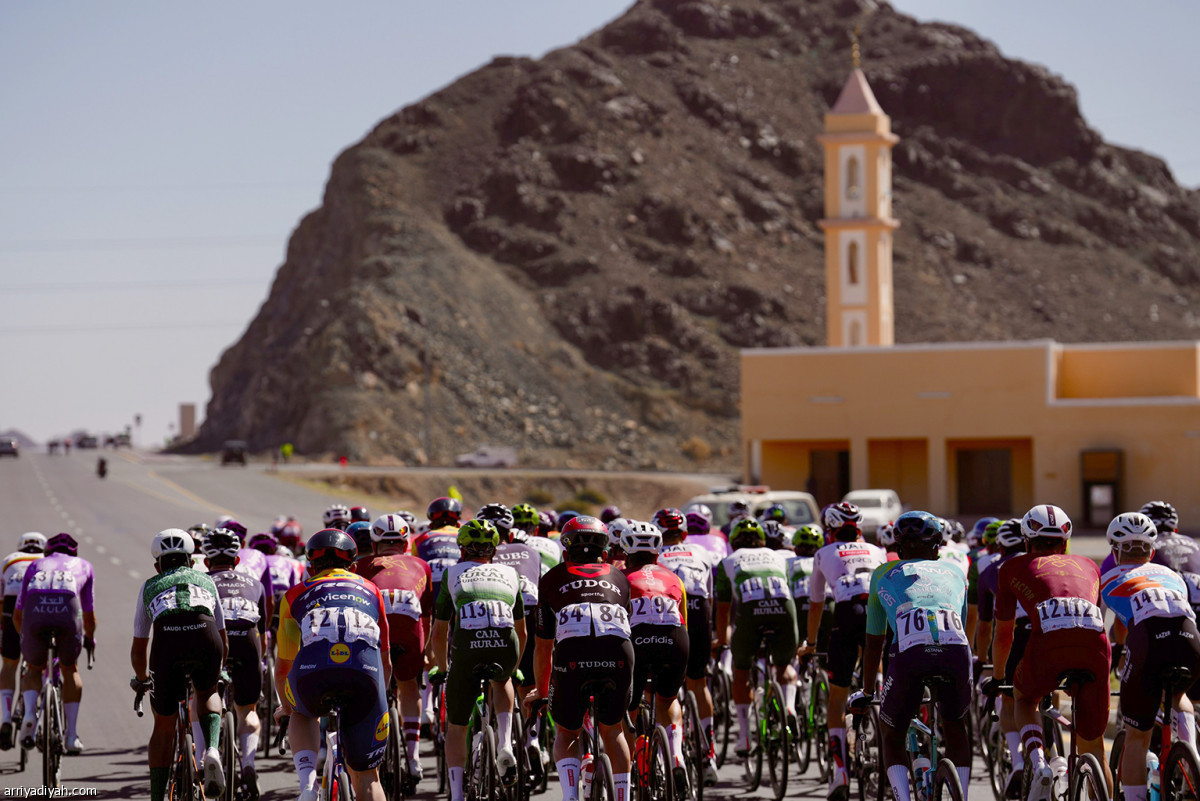 المرحلة الختامية