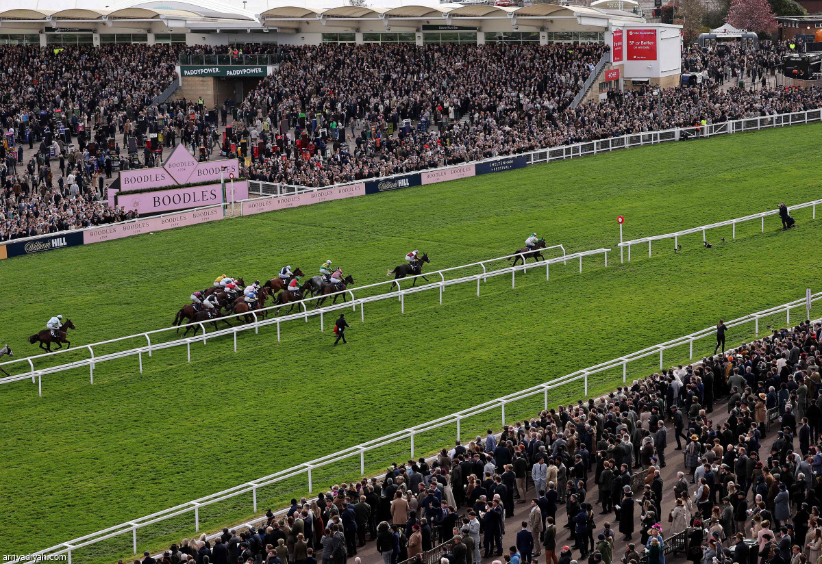 سباق شلتنهام