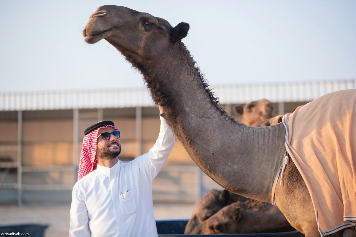 14 فردية بـ 13 مليونا