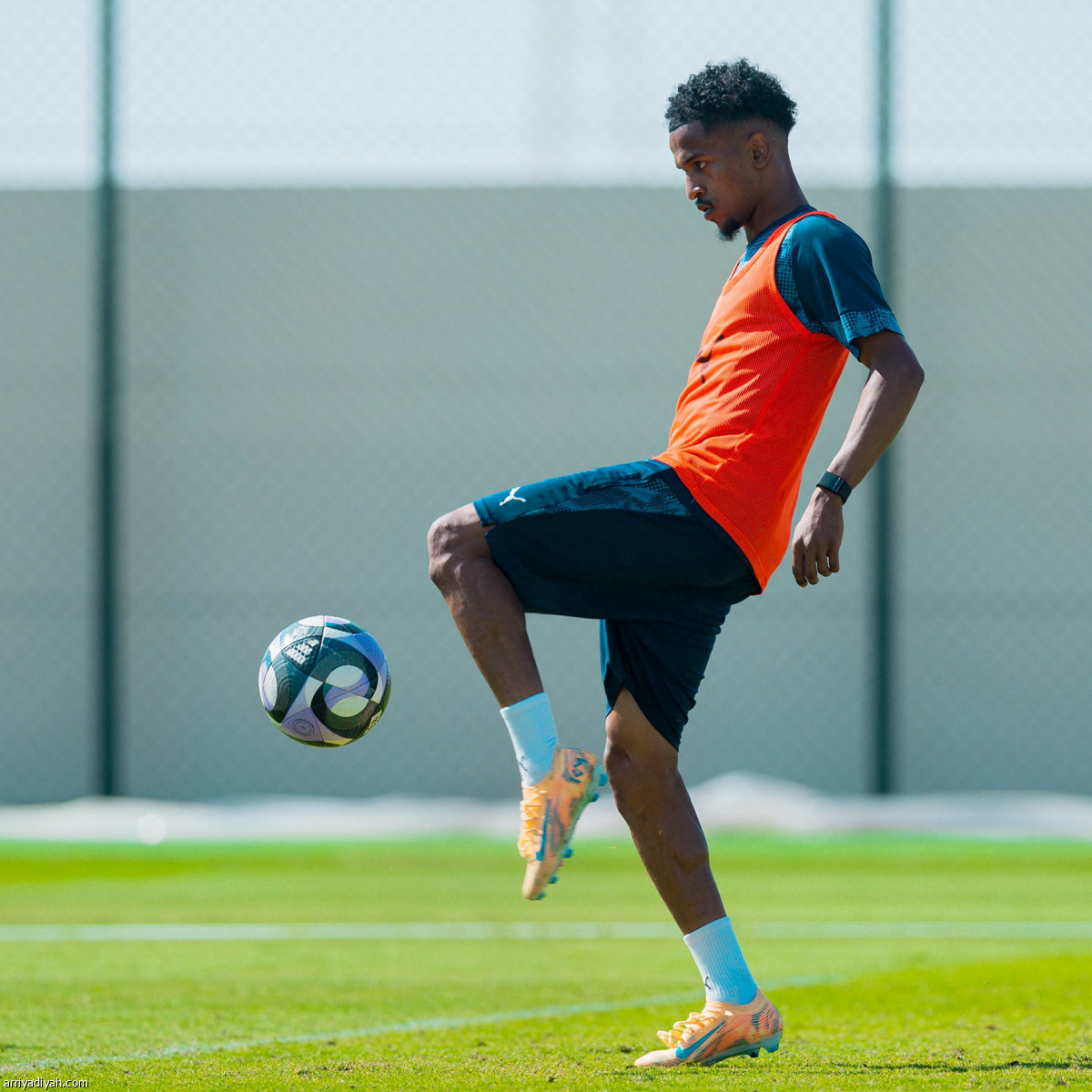 اللمسات الأخيرة