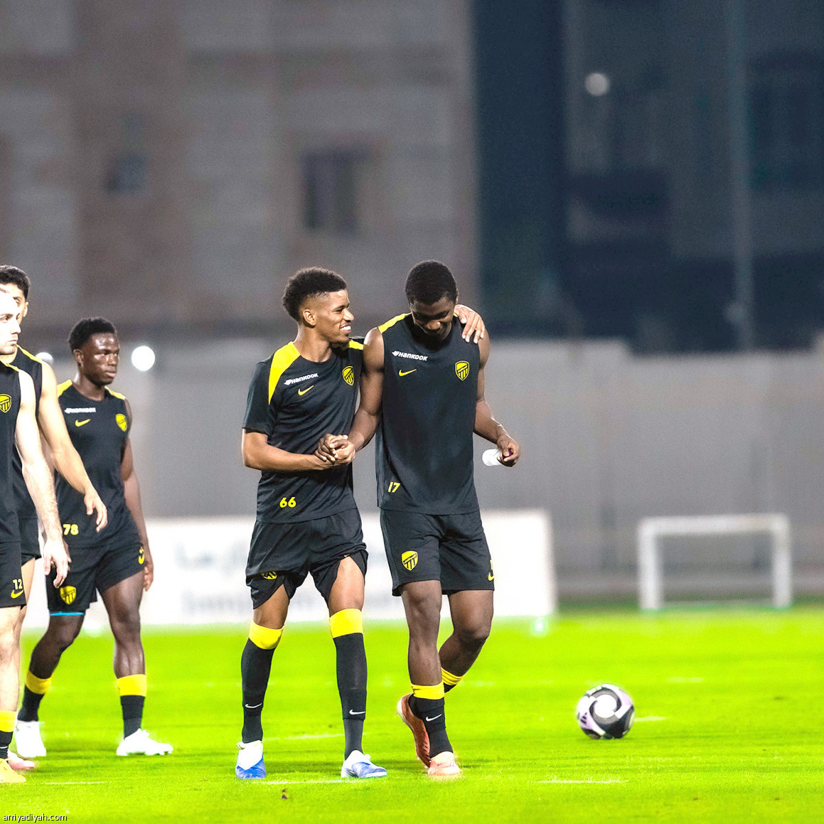 «النمور» يتجهزون