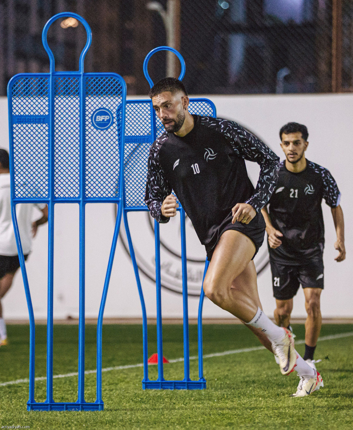 الليوث تستأنف