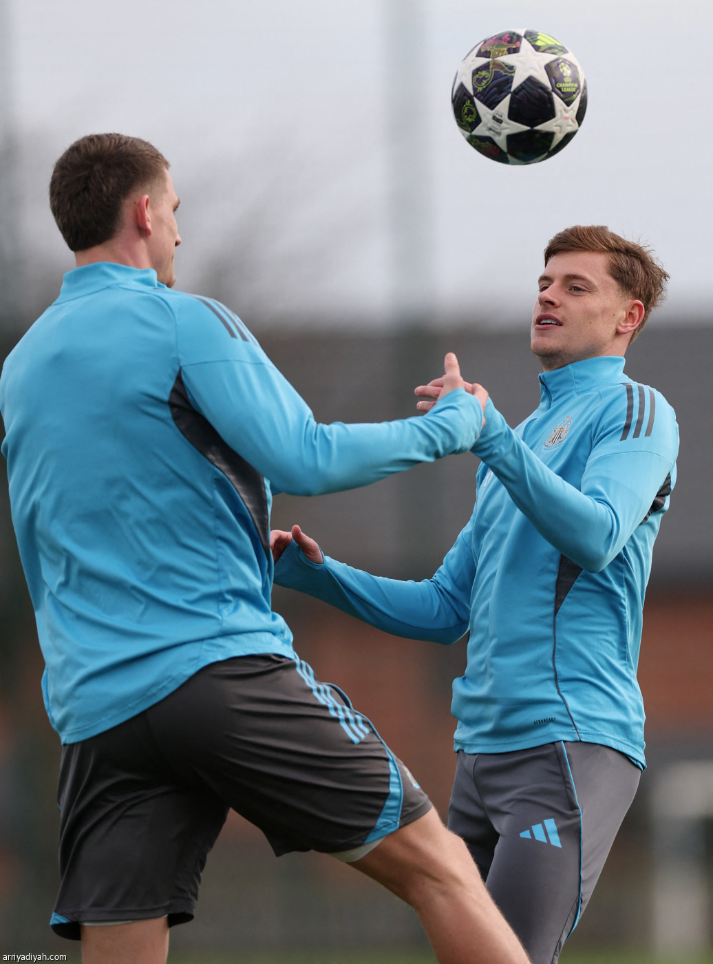 نيوكاسل جاهز