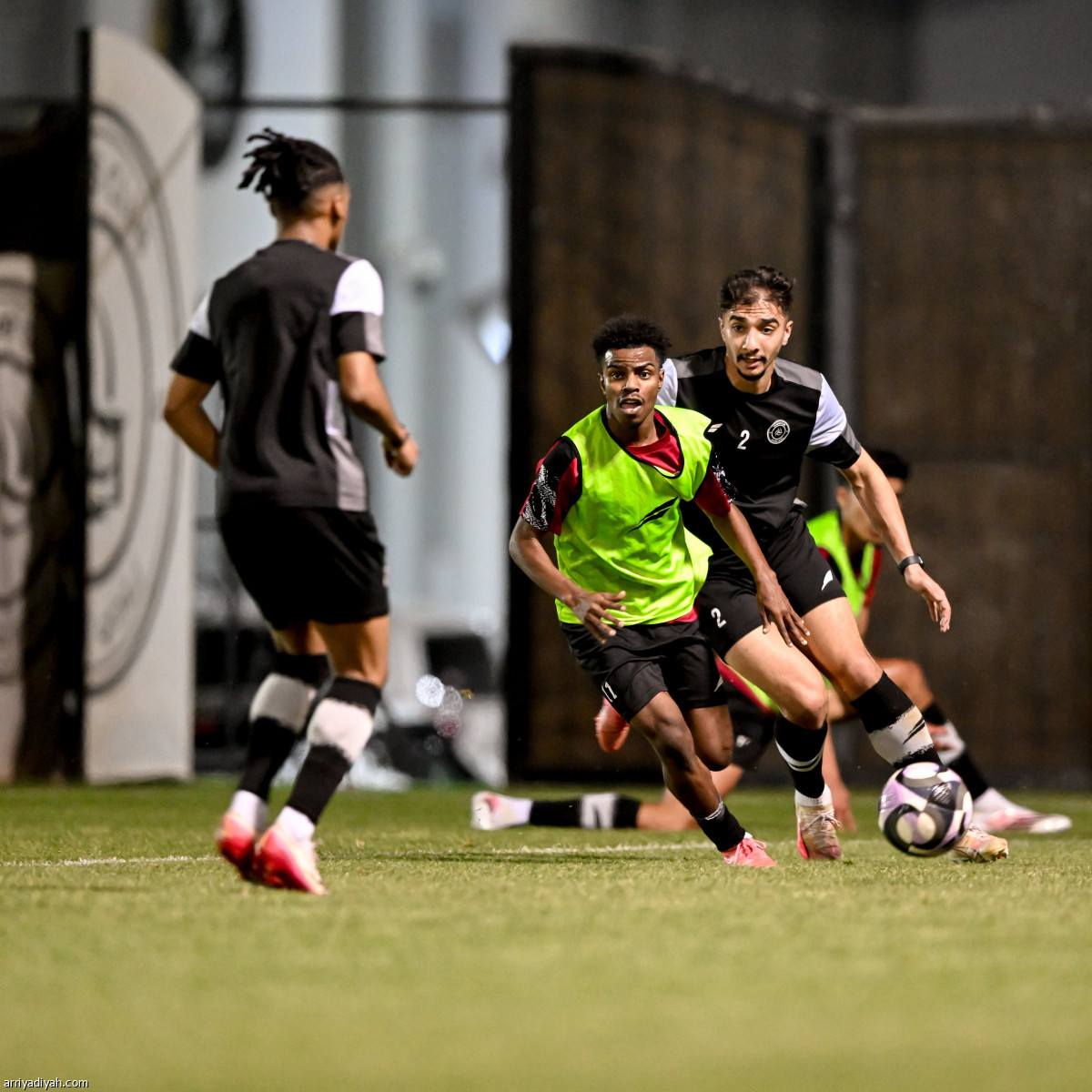 «الليوث» يناورون